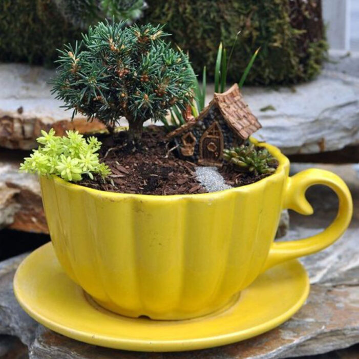 Mi jardín en taza de color amarillo con varias plantitas en el y una casita de madera