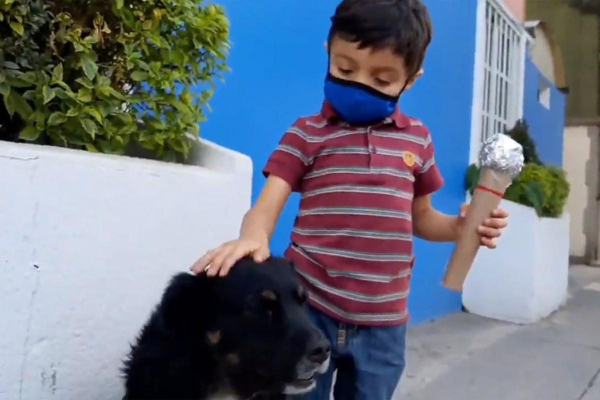 Niño se hace viral por reportaje de perritos callejeros