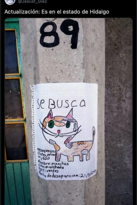 Cartel con el dibujo de un gato perdido 