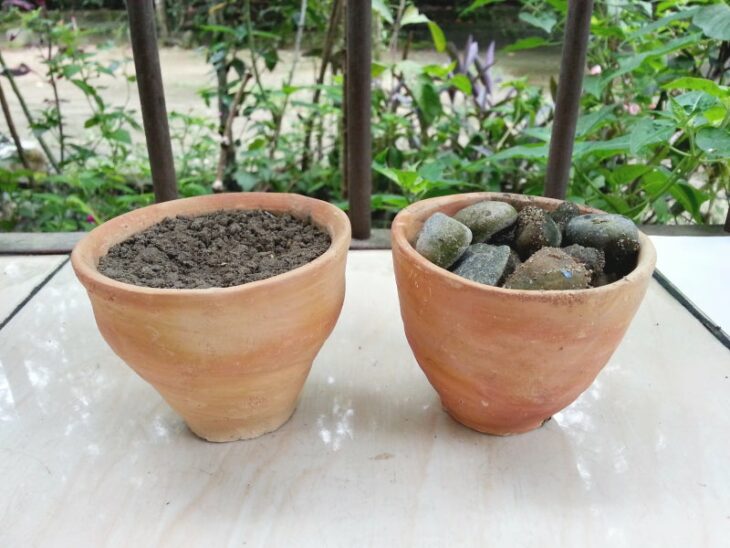 Paso 2 para crear un mini jardín en una taza de té