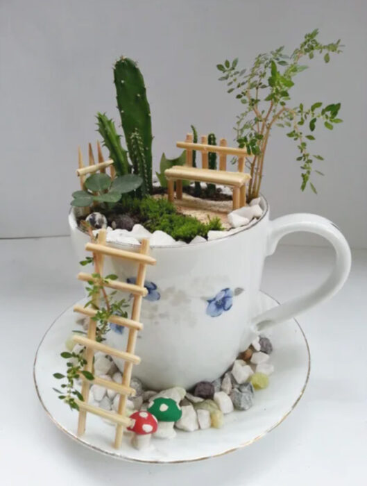 Paso 8 para crear un mini jardín en una taza de té