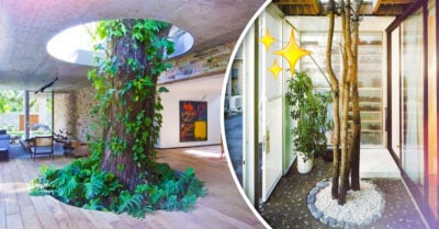 12 Pruebas de que la naturaleza y la arquitectura SÍ se pueden llevar bien