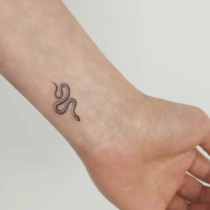 Chica con un tatuaje en la mano en forma de serpiente 