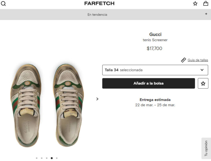 Imagen de catalogo de tenis de Gucci