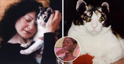 La emotiva historia de por qué las dueñas de michis se llaman Karen