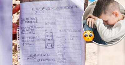 Niño busca a su perrito con un dibujo porque no tiene fotos