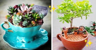 Haz tu propio minijardín en una taza de té y decora tu estudio