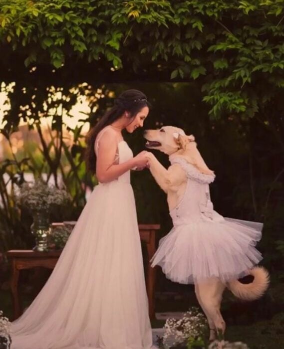 Mujer sosteniendo las patitas de su perro; Perrita es la dama de honor en la boda de su mamá humana