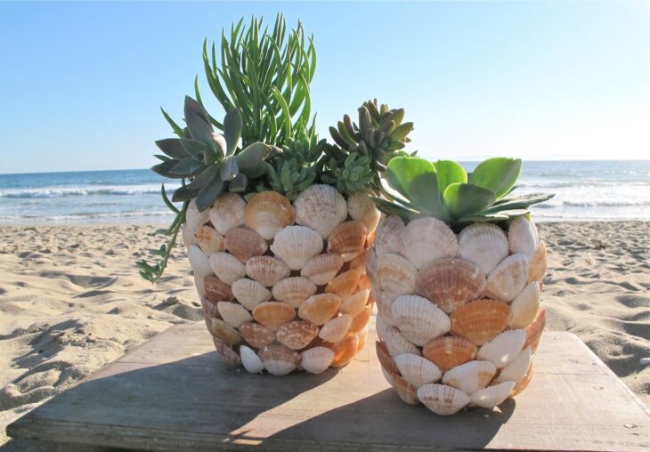 Maceta decorada con conchas; Ideas para crear tus propias macetas