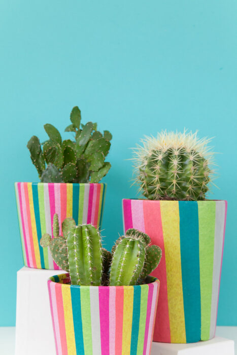 Maceta decorada con papel de colores; Ideas para crear tus propias macetas