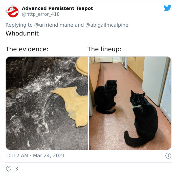 Publicación en twitter de gatitos atrapados destruyendo cosas 
