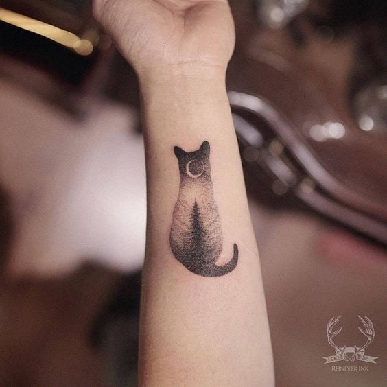 Tatuaje de gato con un interior de bsoque; Tatuajes para llevar a mishi siempre contigo