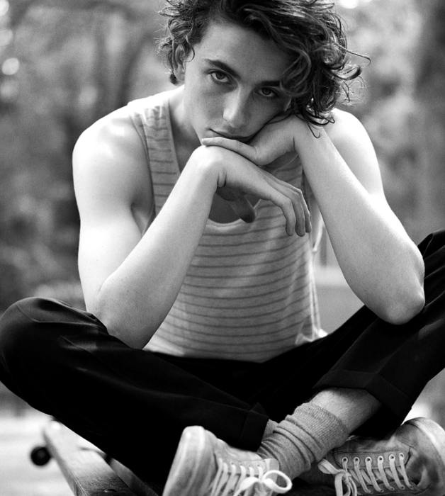 Timothée Chalamet