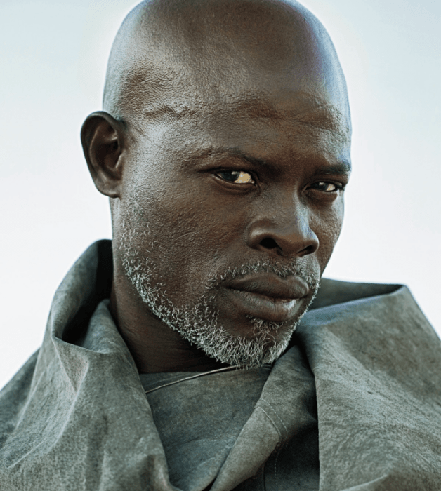 Djimon Hounsou