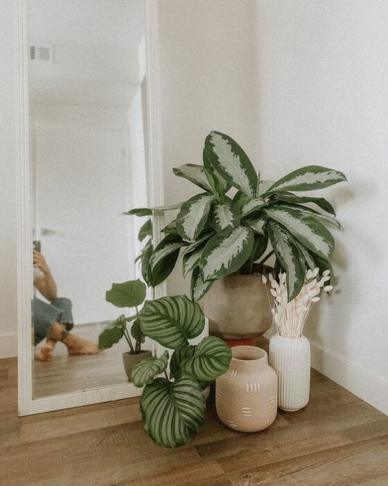 plantas en un rincón de una recamara ;13 Ideas para decorar tu depa con tantas plantas como desees