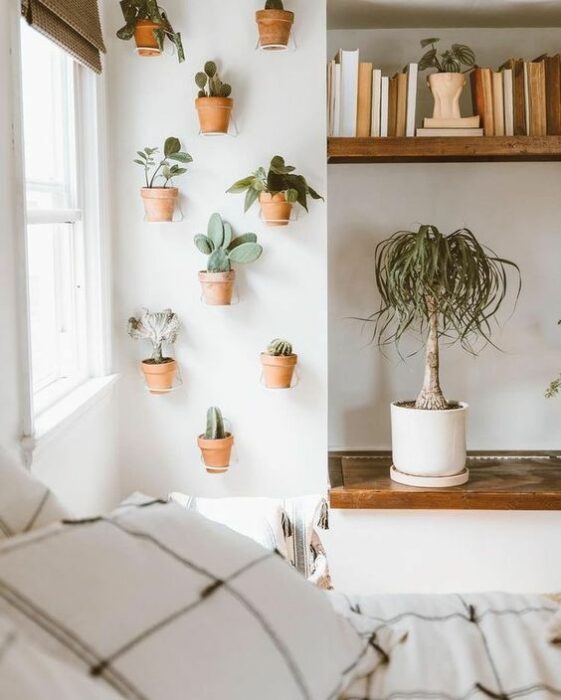 plantas decorativas en una pared ;13 Ideas para decorar tu depa con tantas plantas como desees