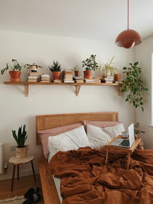 plantas decorativas en una repisa ;13 Ideas para decorar tu depa con tantas plantas como desees