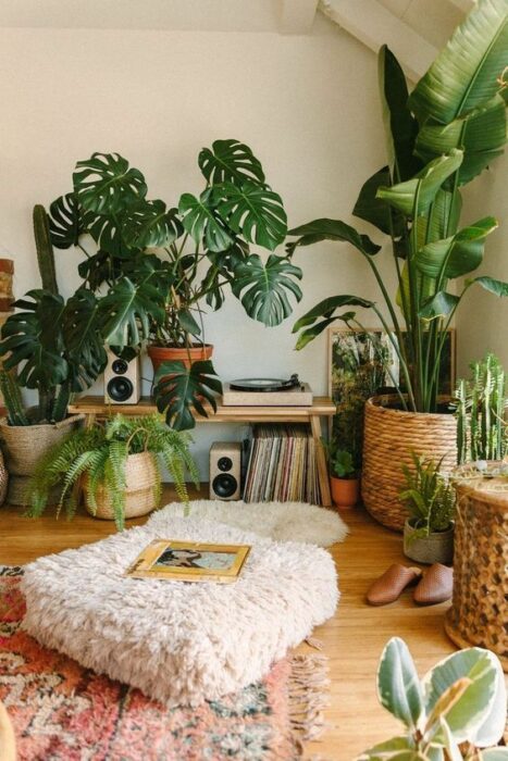 plantas decorativas en una sala de estar ;13 Ideas para decorar tu depa con tantas plantas como desees