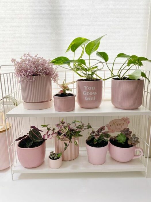 Maceta en tonos rosa pastel ;14 Macetas aesthetic para que tus plantas se ven bien chulas