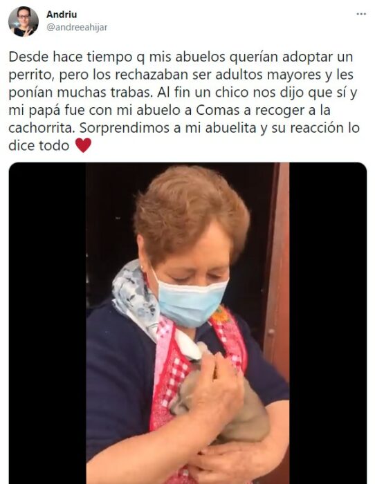 Abuelita abrazando a un cachorrito 