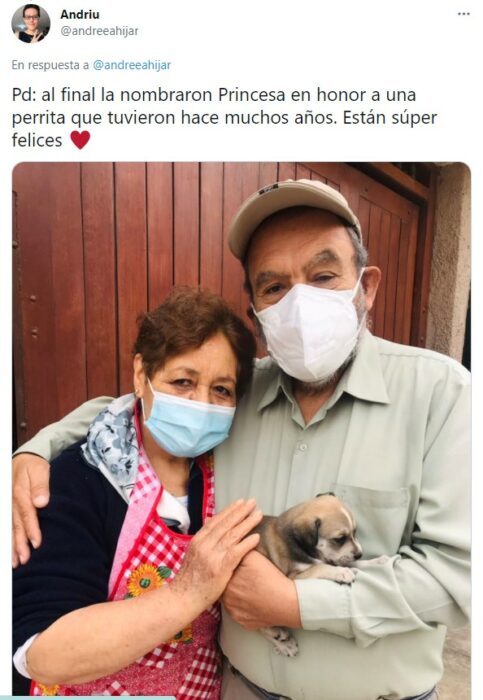 Abuelitos abrazando a su nuevo cachorrito 