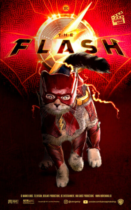 Flash ;Artista remplaza actores con mininos en posters de películas famosas 