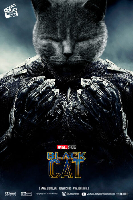 Black Panther ;Artista remplaza actores con mininos en posters de películas famosas 