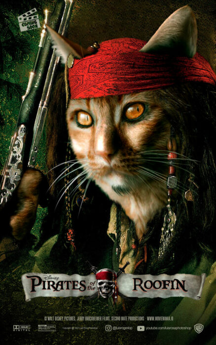 Piratas del Caribe ;Artista remplaza actores con mininos en posters de películas famosas 