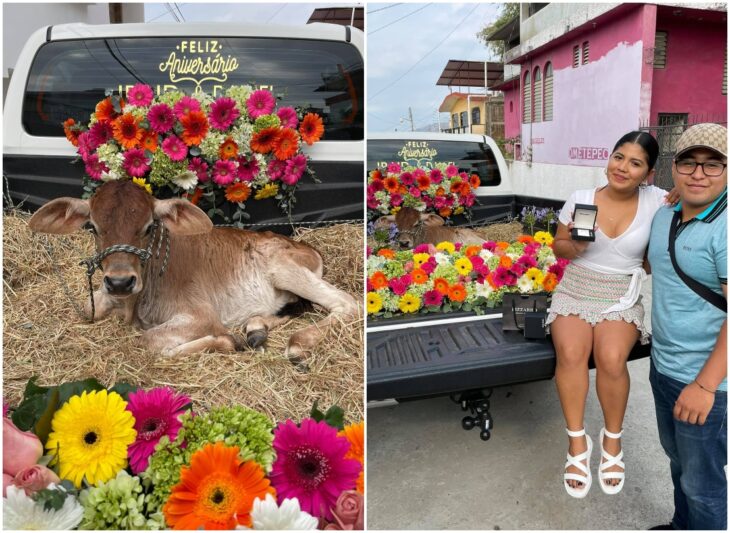 Chica sentada junto a un becerro; Galán le regala un becerro a su novia por su primer aniversario