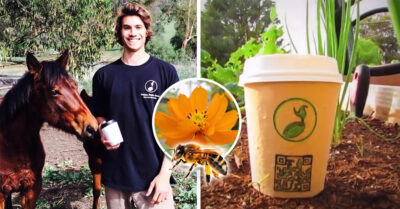 Crean vasos que al plantarlos se convierten en flores que ayudan a las abejas