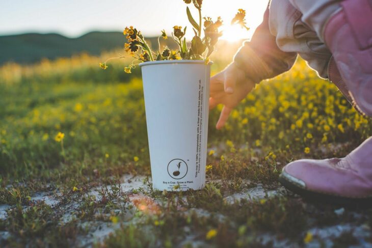 Vaso biodegradable que funciona para plantar árboles o plantas 