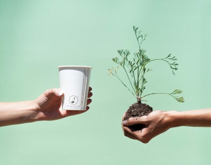 Vaso biodegradable que funciona para plantar árboles o plantas 
