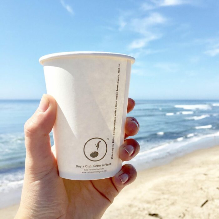 Vaso biodegradable que funciona para plantar árboles o plantas 