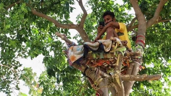 Chico sobre un árbol;  Joven se aísla 11 días en un árbol para con contagiar de covid-19 a su familia 
