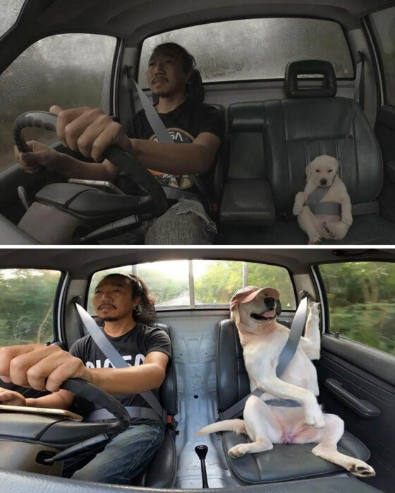 Antes y después de un hombre junto a su perrito 