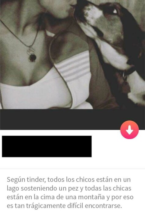 Descripción de un perfil de tinder gracioso y honesto