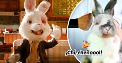 ¡Ralph lo logró! México prohíbe las pruebas de cosméticos en animales