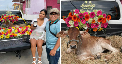 Le regala un becerrito a su novia por su primer aniversario y se vuelven virales