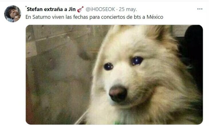 meme con un perrito triste ;Así nació el meme de 'En Saturno viven los hijos que nunca tuvimos' 