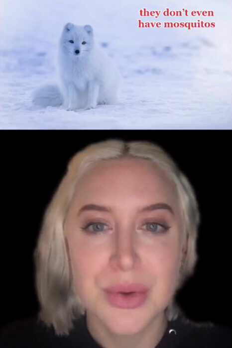 Girl telling in a video on tiktok why Iceland is the best place in the world 