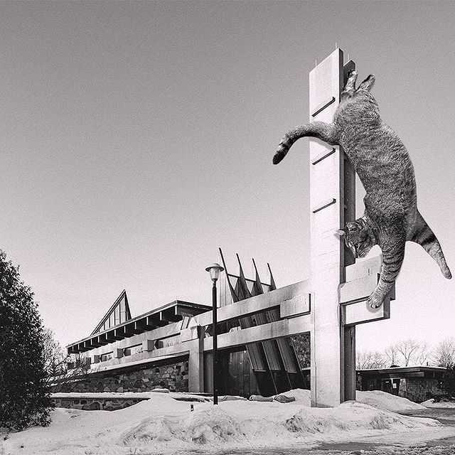 Gato sobre un pilar ;Cuenta de Instagram combina arquitectura con gatitos y el resultado te hará ronronear