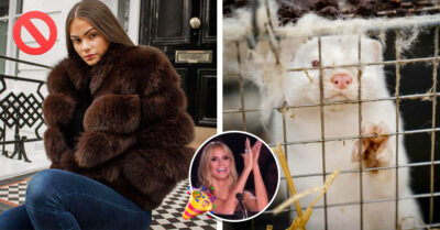 Israel se convierte en el primer país en prohibir la venta de pieles en la industria de la moda