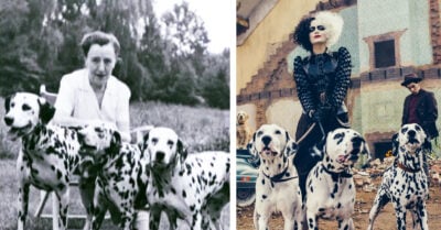 Esta es la historia que inspiró al personaje de Cruella de Vil