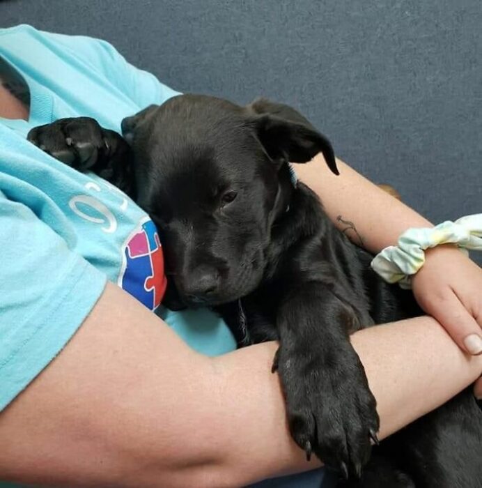 Niño abrazando a su perrito enfermo