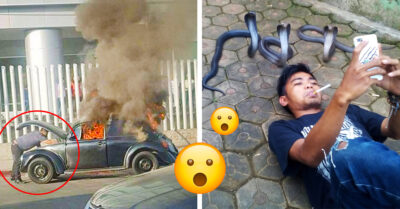 15 Personas que mantuvieron la calma en momentos tan críticos que no lo creerás