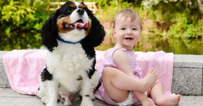 Lomito salva a pequeña niña de perder la vida mientras dormía