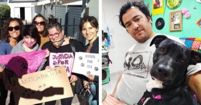 Juez reconoce a perrita como ‘hija no humana’ de una pareja argentina