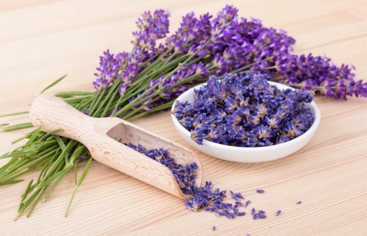 Lavanda ;6 Hierbas y resinas para poner en armonía la energía de tu hogar