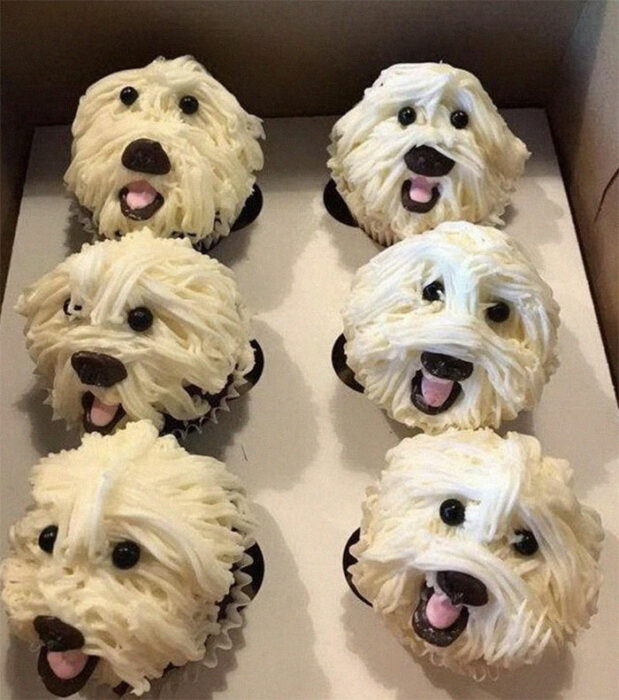 cupcakes de perros; Estas fotos de comida perfecta te harán romper la dieta