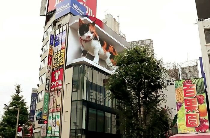 Vaya publicitaria que muestra a un gato hiperrealista en 3D